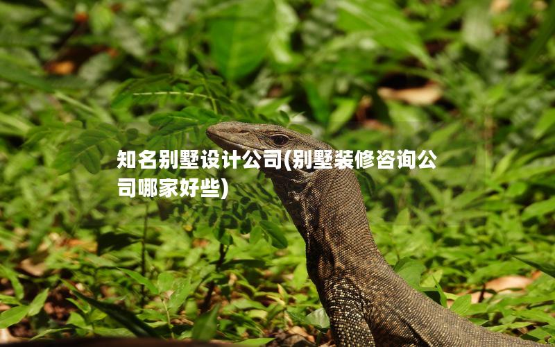 知名別墅設(shè)計(jì)公司(別墅裝修咨詢(xún)公司哪家好些)