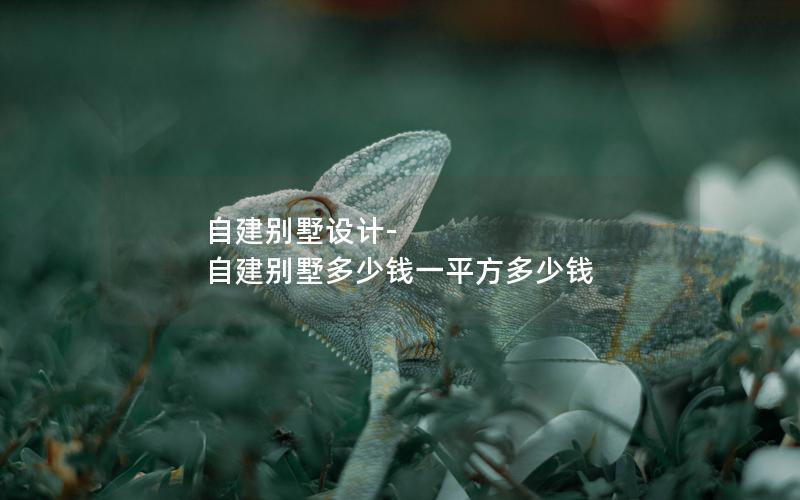 自建別墅設(shè)計(jì)-自建別墅多少錢(qián)一平方多少錢(qián)